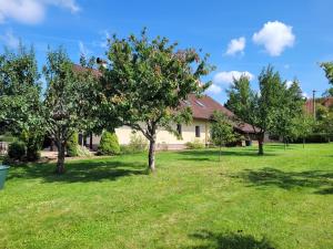 Zahrada ubytování Apartmány Velké Dářko