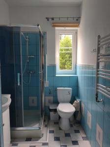 a bathroom with a toilet and a shower and a window at Pokoje u Marii i Piotra in Brzozów