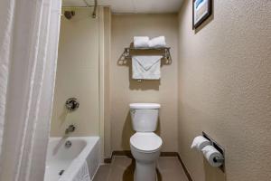 Ένα μπάνιο στο Comfort Inn Edison - New Brunswick
