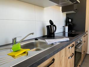 Kuchyň nebo kuchyňský kout v ubytování Hegau Boardinghouse
