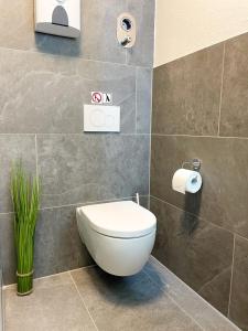 Koupelna v ubytování Hegau Boardinghouse