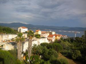 een stad met palmbomen en huizen op een heuvel bij Chambre hôtes Wagram in Ajaccio