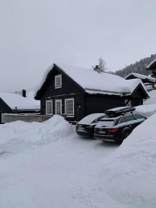 Το Endely - ski inn / ut τον χειμώνα