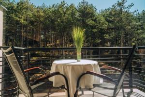 Balkón nebo terasa v ubytování Inex Olgica Hotel & SPA