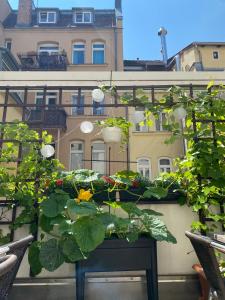 Zahrada ubytování Burghotel Nürnberg