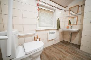a bathroom with a toilet and a sink at LVM tūrisma un atpūtas centrs "Spāre" in Spāre