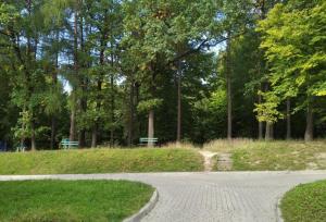 een loopbrug in een park met banken en bomen bij 2 кімнатна квартира Трускавець,поруч центр та Дельфінарій in Truskavets