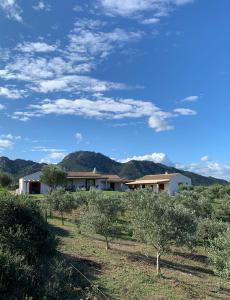 une maison dans un champ avec des montagnes en arrière-plan dans l'établissement Macciuneddu Country Retreat, à Golfo Aranci