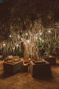 Zahrada ubytování Jashita Hotel