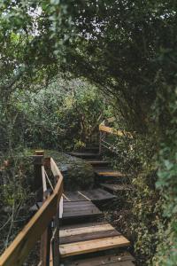 a wooden path through a tunnel of trees at Live in the woods in Mikhmannim