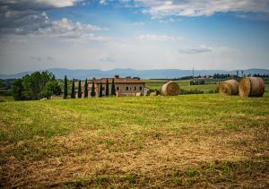 Táj Show country houses közelében