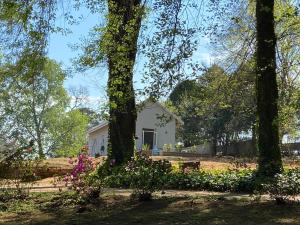 una pequeña casa blanca en medio de los árboles en Yellowwoods Farm - THE GOAT HOUSE en Curryʼs Post