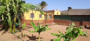 uma casa amarela com uma cerca num quintal em La Casita del Naranjo em Agüimes