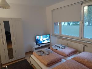 een slaapkamer met 2 bedden, een tv en een raam bij FeWo s Runde Wiese LL in Greifswald