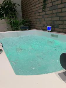 a large pool of water with a thermometer in it at V' Appart Spa in Troyes
