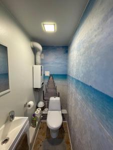 a bathroom with a toilet and a staircase in the water at Like a home Linda Apartment in Narva