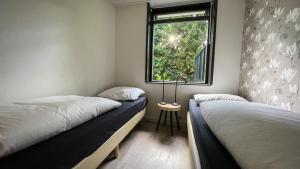 1 dormitorio con 2 camas y ventana en Vossenbelt, en Gasselte