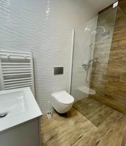 a bathroom with a shower and a toilet and a sink at Apartamenty Sokola in Łódź