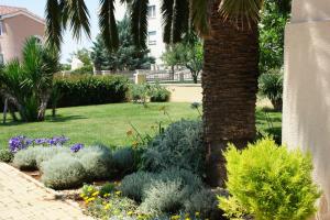 a garden with plants and a palm tree at Apartment Varga in Zadar