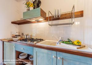 A kitchen or kitchenette at Borgo Solario