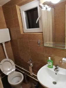 een badkamer met een toilet, een wastafel en een spiegel bij Sobe i apartmani Simic in Ribarska Banja