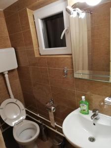 Koupelna v ubytování Sobe i apartmani Simic