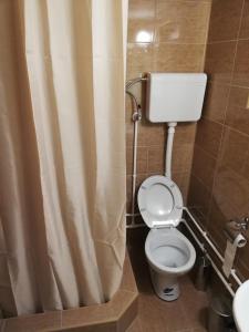 uma casa de banho com um WC e uma cortina de chuveiro em Sobe i apartmani Simic em Ribarska Banja