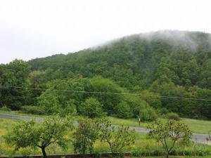 a view of a mountain with a road and trees at Sobe i apartmani Simic in Ribarska Banja