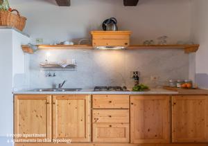 A kitchen or kitchenette at Borgo Solario