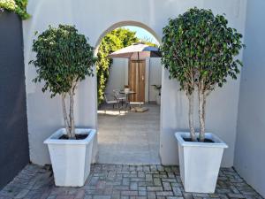 two potted trees in white pots on a walkway at Brewer Place in Port Elizabeth +11 photos