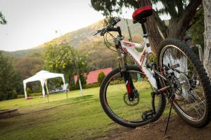 a bike parked next to a tree in a park at Casa Rural Santa Maria Regla in Huasca de Ocampo +56 photos