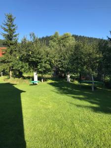 Príroda v okolí privátu