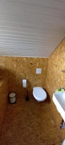 a bathroom with a white toilet and a sink at FeWo Am Marktplatz in Zerf
