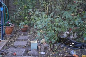 Gallery image of Gästehaus Kevin Schult in Berlin +7 photos