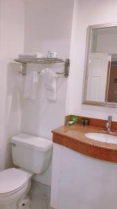 a bathroom with a toilet and a sink and a mirror at District Hotel in Washington +25 photos