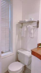 a white bathroom with a toilet and a window at District Hotel in Washington, D.C.