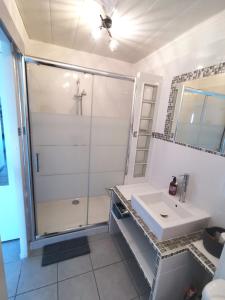 a bathroom with a shower and a white sink at Appartement Vue Mer 212 in Canet-en-Roussillon