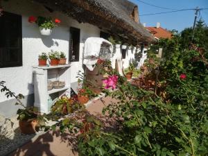 Gallery image of Nádasház in Gyenesdiás