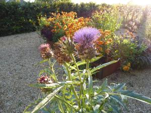 a bunch of flowers in a garden at The Oaks Glamping - Rubie's Shepherds Hut in Colkirk