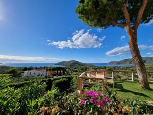 a view from the garden of a house with a tree and flowers at Residenza Mini Hotel - RTA e Appartamenti Vacanza in Lacona