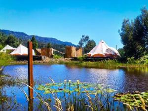 a pond with umbrellas in the middle of a field at Glampwild Zaquencipa in Villa de Leyva