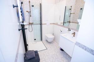 La salle de bains est pourvue d'une douche, de toilettes et d'un lavabo. dans l'établissement Venus, à Toruń