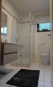 a bathroom with a shower and a toilet and a sink at Ferienwohnung im Storkenbusch in Beckingen