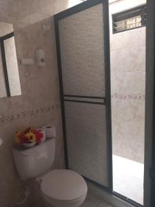 La salle de bains est pourvue de toilettes et d'une porte de douche en verre. dans l'établissement Apartamento amoblado con balcón en Ibagué, à Ibagué