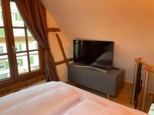 TV a/nebo společenská místnost v ubytování Muggel Apartments