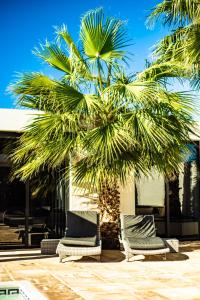 Kép Casa Paloma with heated pool in El Roque szállásáról Cotillóban a galériában