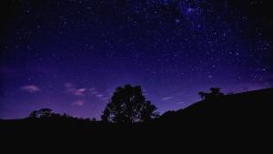 a starry night with a tree in the foreground at Refúgio Horse in Santo Antônio do Pinhal