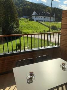 een tafel en stoelen op een balkon met uitzicht bij Apartma Runi pod Zlato lisico in Pekre