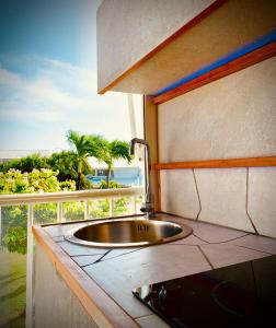 a bathroom with a sink with a view of the ocean at studio hibiscus in Saint-François