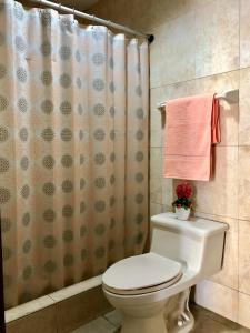 a bathroom with a toilet and a shower curtain at Hotel Onix Gold in Guayaquil